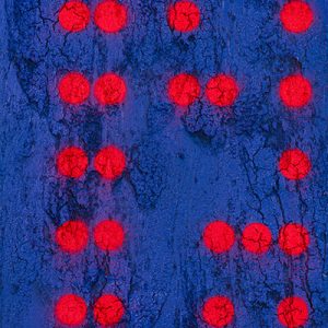 Paste by Benjamin Masi - Donations for Nonprofit Organization Arizona